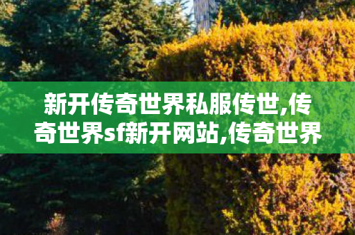 新开传奇世界私服传世,传奇世界sf新开网站,传奇世界sf外挂,传奇世界sf新开网站