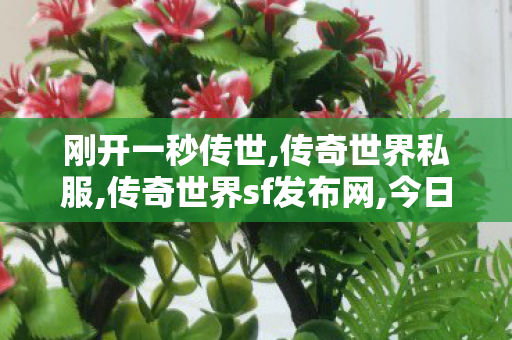 刚开一秒传世,传奇世界私服,传奇世界sf发布网,今日新开传世sf发布网,传奇世界私服,传奇世界sf发布网