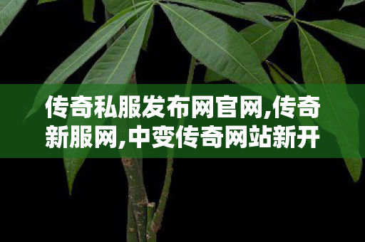 传奇私服发布网官网,传奇新服网,中变传奇网站新开网,传奇新服网