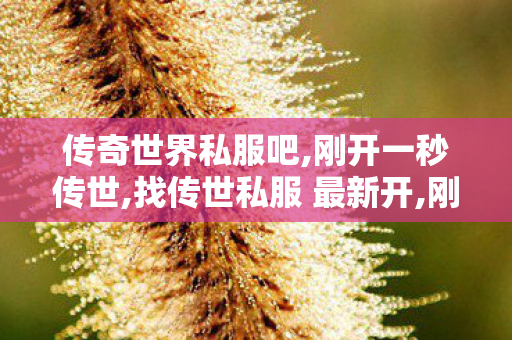 传奇世界私服吧,刚开一秒传世,找传世私服 最新开,刚开一秒传世