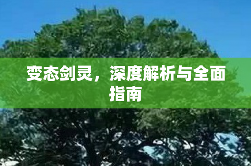 变态剑灵，深度解析与全面指南