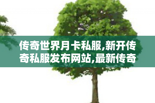 传奇世界月卡私服,新开传奇私服发布网站,最新传奇世界私服,新开传奇私服发布网站