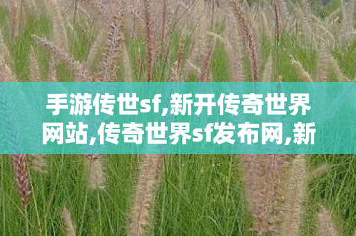 手游传世sf,新开传奇世界网站,传奇世界sf发布网,新开传奇世界网站
