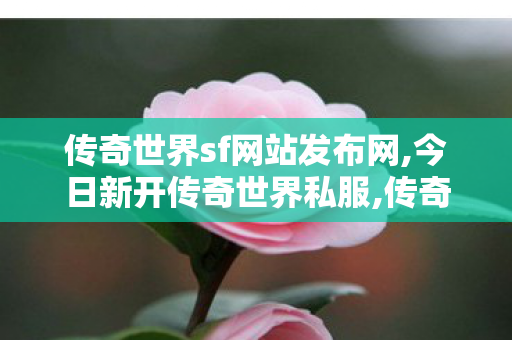 传奇世界sf网站发布网,今日新开传奇世界私服,传奇世界私服,最新传世私服,今日新开传奇世界私服