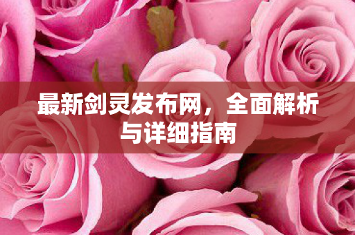 最新剑灵发布网，全面解析与详细指南