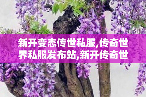 新开变态传世私服,传奇世界私服发布站,新开传奇世界世私服,传奇世界私服发布站