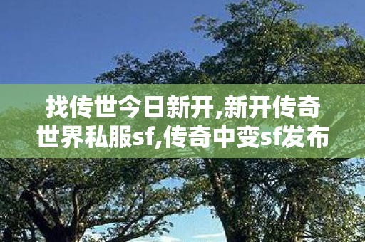 找传世今日新开,新开传奇世界私服sf,传奇中变sf发布网,新开传奇世界私服sf
