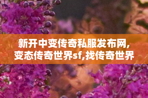 新开中变传奇私服发布网,变态传奇世界sf,找传奇世界私服首区,变态传奇世界sf