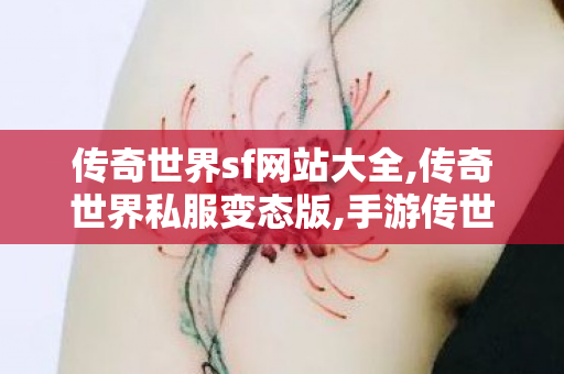 传奇世界sf网站大全,传奇世界私服变态版,手游传世sf,传奇世界私服变态版