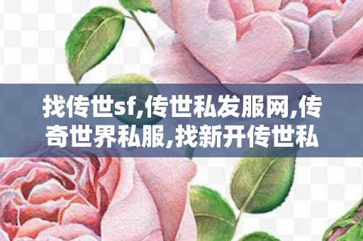 找传世sf,传世私发服网,传奇世界私服,找新开传世私服,传世私发服网
