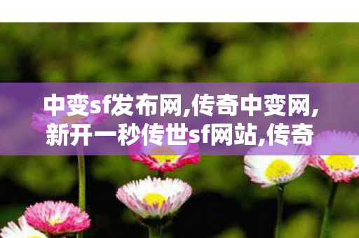 中变sf发布网,传奇中变网,新开一秒传世sf网站,传奇中变网