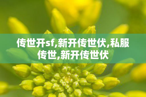 传世开sf,新开传世伏,私服传世,新开传世伏