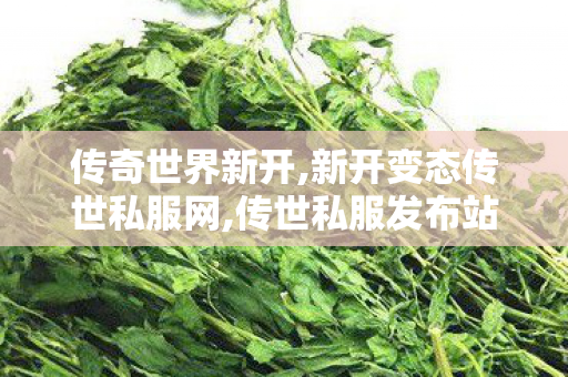 传奇世界新开,新开变态传世私服网,传世私服发布站,新开变态传世私服网