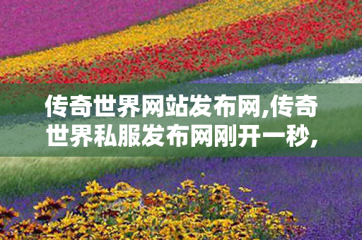 传奇世界网站发布网,传奇世界私服发布网刚开一秒,传世私l菔,传奇世界私服发布网刚开一秒