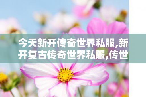 今天新开传奇世界私服,新开复古传奇世界私服,传世sf发布网站,新开复古传奇世界私服