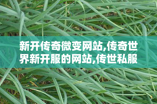 新开传奇微变网站,传奇世界新开服的网站,传世私服,传奇世界新开服的网站