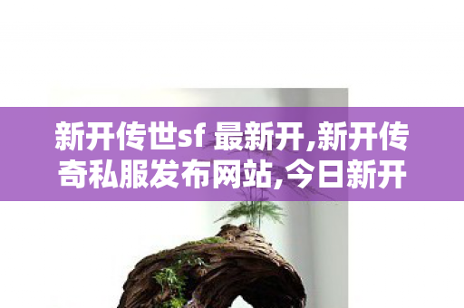 新开传世sf 最新开,新开传奇私服发布网站,今日新开传世发布网站,新开传奇私服发布网站
