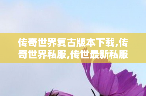 传奇世界复古版本下载,传奇世界私服,传世最新私服,传世私服平台大全,传奇世界私服,传世最新私服