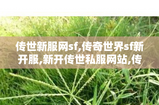 传世新服网sf,传奇世界sf新开服,新开传世私服网站,传奇世界sf新开服
