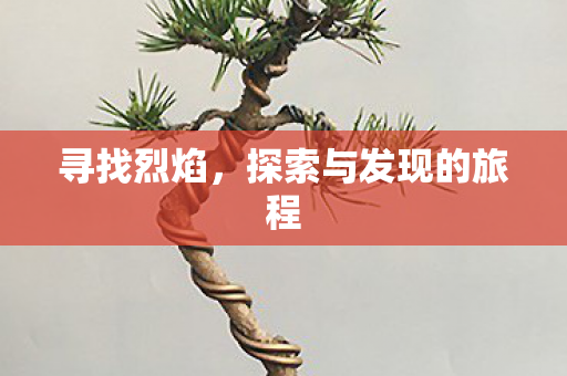 寻找烈焰，探索与发现的旅程