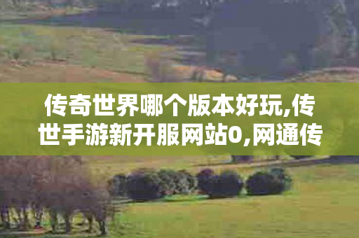 传奇世界哪个版本好玩,传世手游新开服网站0,网通传奇私服发布网,传世手游新开服网站0