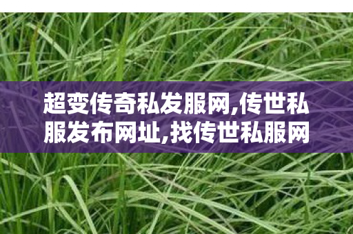 超变传奇私发服网,传世私服发布网址,找传世私服网,传世私服发布网址