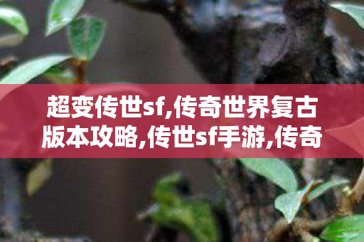 超变传世sf,传奇世界复古版本攻略,传世sf手游,传奇世界复古版本攻略