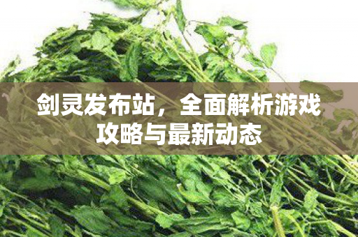 剑灵发布站，全面解析游戏攻略与最新动态