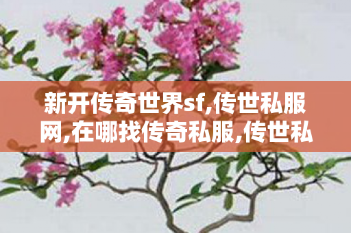 新开传奇世界sf,传世私服网,在哪找传奇私服,传世私服网