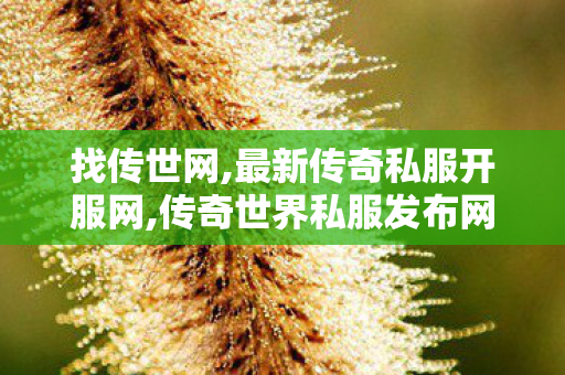 找传世网,最新传奇私服开服网,传奇世界私服发布网最新,最新传奇私服开服网
