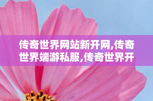传奇世界网站新开网,传奇世界端游私服,传奇世界开服网,传奇世界端游私服