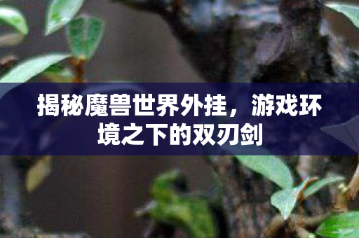 揭秘魔兽世界外挂，游戏环境之下的双刃剑