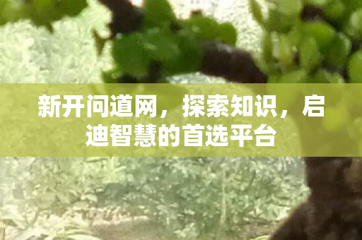 新开问道网，探索知识，启迪智慧的首选平台
