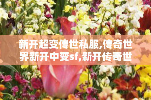 新开超变传世私服,传奇世界新开中变sf,新开传奇世界私服游戏发布网,传奇世界新开中变sf