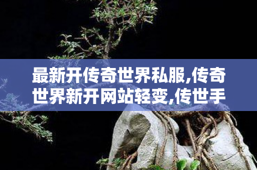 最新开传奇世界私服,传奇世界新开网站轻变,传世手游sf,传奇世界新开网站轻变