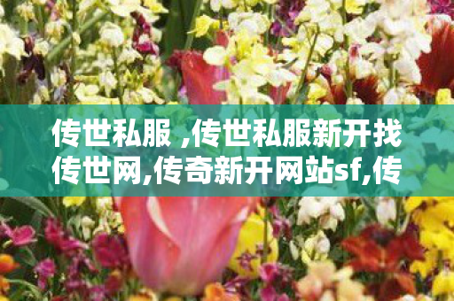 传世私服 ,传世私服新开找传世网,传奇新开网站sf,传世私服新开找传世网
