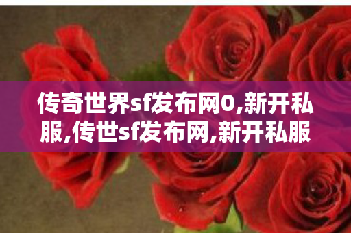 传奇世界sf发布网0,新开私服,传世sf发布网,新开私服