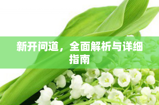新开问道，全面解析与详细指南