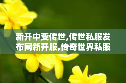 新开中变传世,传世私服发布网新开服,传奇世界私服贴吧,传世私服发布网新开服