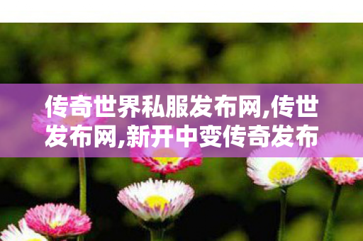 传奇世界私服发布网,传世发布网,新开中变传奇发布网,传世发布网