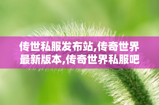 传世私服发布站,传奇世界最新版本,传奇世界私服吧,传奇世界最新版本