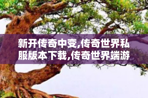 新开传奇中变,传奇世界私服版本下载,传奇世界端游私服,传奇世界私服版本下载