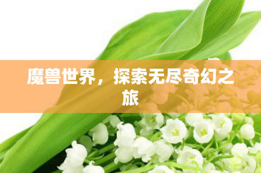 魔兽世界，探索无尽奇幻之旅
