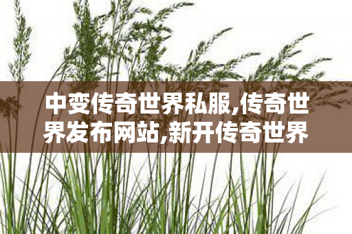 中变传奇世界私服,传奇世界发布网站,新开传奇世界私服,传奇世界发布网站