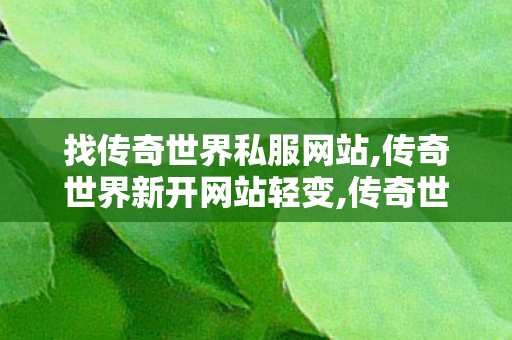 找传奇世界私服网站,传奇世界新开网站轻变,传奇世界新开私服,传奇世界新开网站轻变