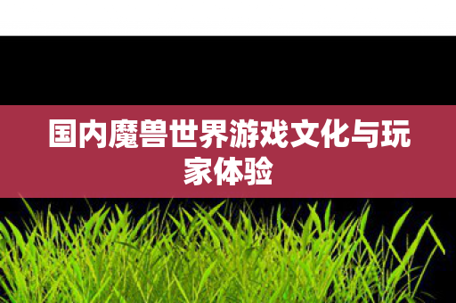 国内魔兽世界游戏文化与玩家体验