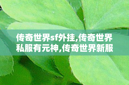 传奇世界sf外挂,传奇世界私服有元神,传奇世界新服网发布网,传奇世界私服有元神