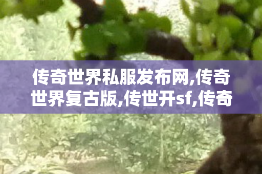 传奇世界私服发布网,传奇世界复古版,传世开sf,传奇世界复古版
