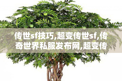传世sf技巧,超变传世sf,传奇世界私服发布网,超变传世sf