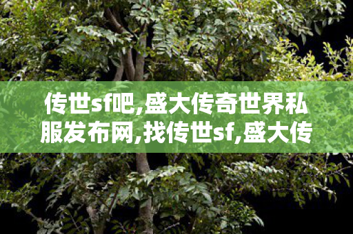 传世sf吧,盛大传奇世界私服发布网,找传世sf,盛大传奇世界私服发布网